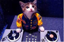 DJ Vinyles