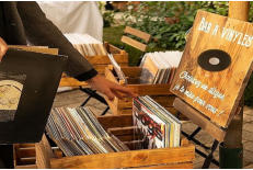 Recherche de Vinyle dans les bacs